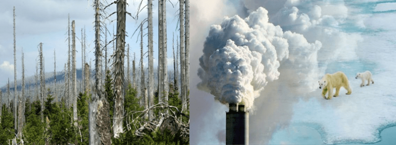 Effects of industrial emissions on the environment